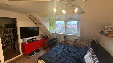 Furnished Room Nassaulaan, Delft - For Rent