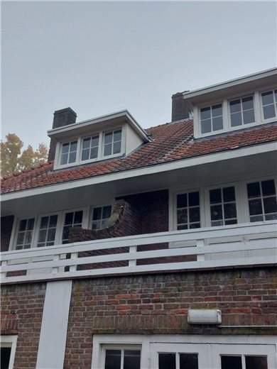 Imagen 4 de 8