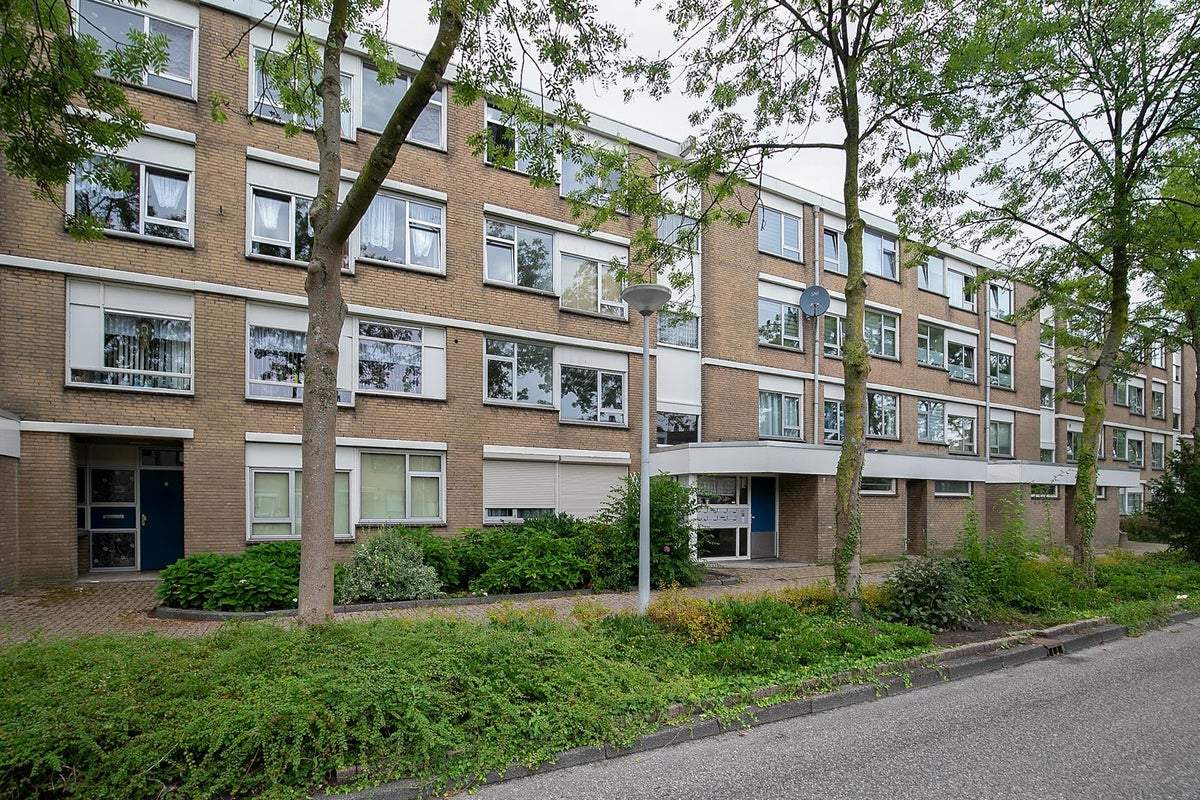 Afbeelding 2 van 29