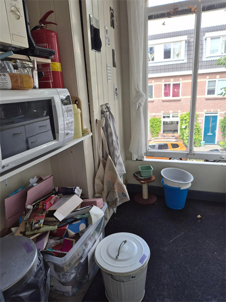 Image 8 of 11