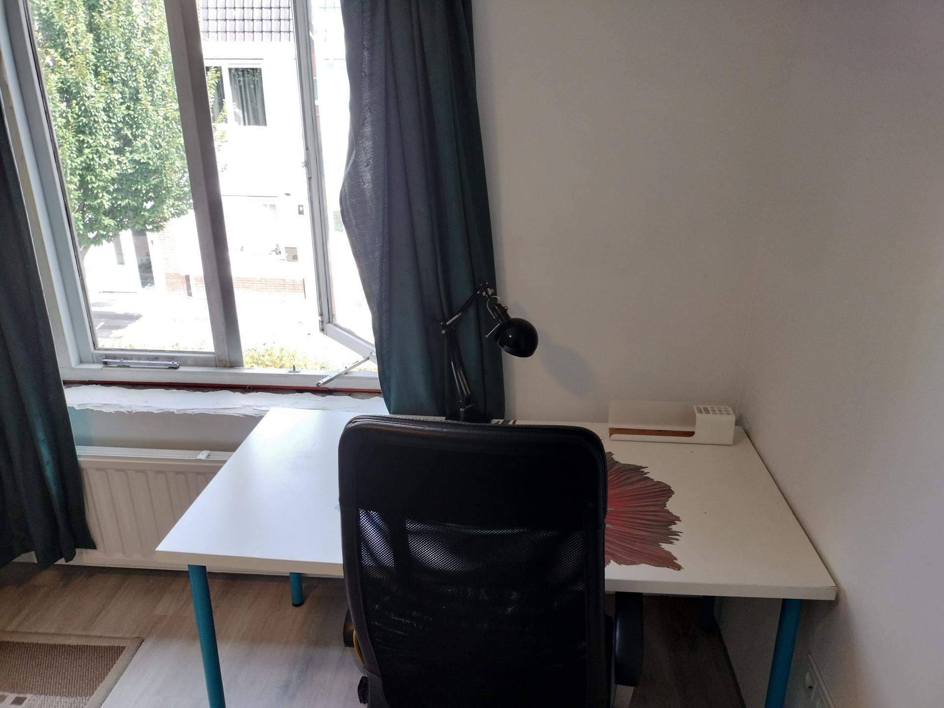 Image 2 of 7