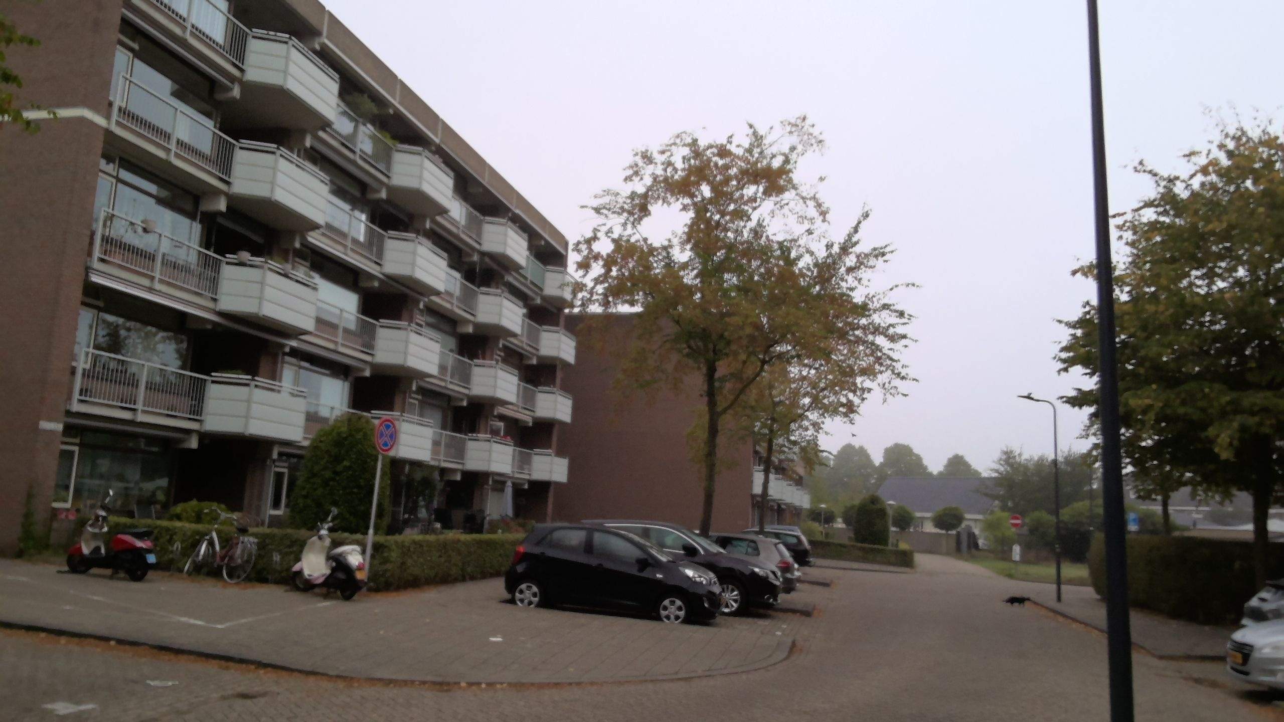 Afbeelding 2 van 2