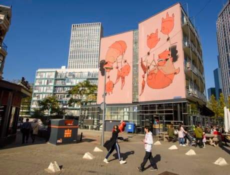 Image 2 sur 2