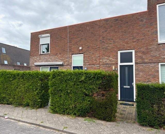 Afbeelding 3 van 31