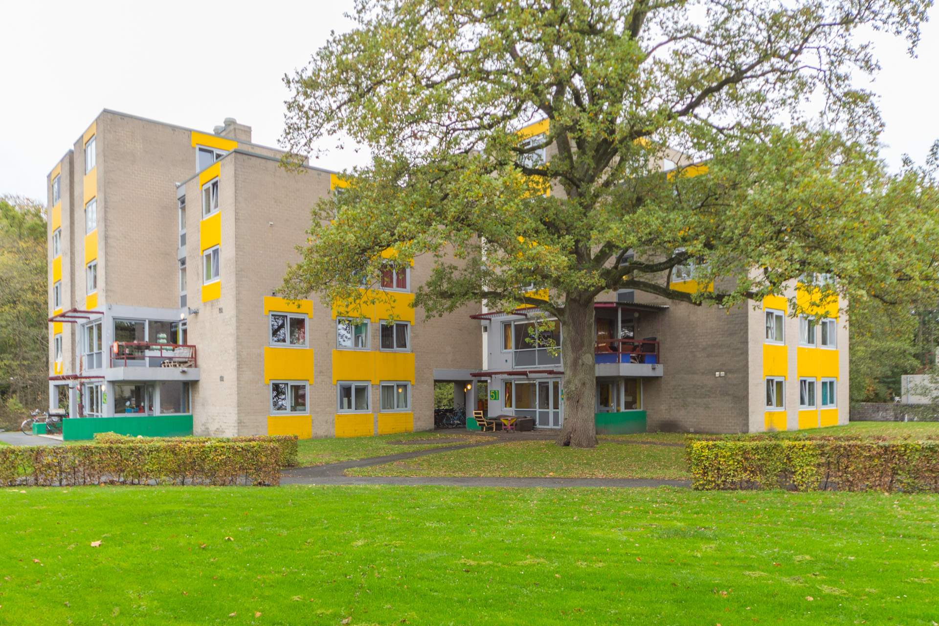 Afbeelding 1 van 1