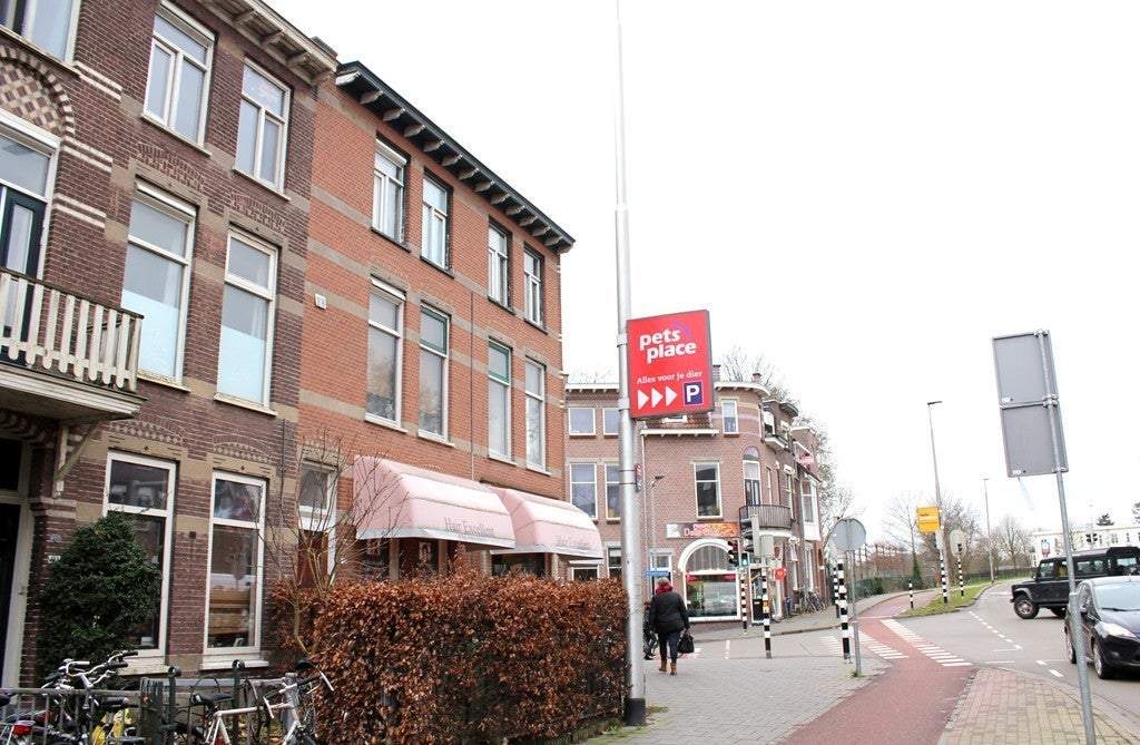Afbeelding 2 van 12