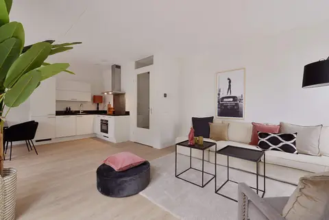 Appartement Stadhoudersplantsoen 240-C, Den Haag - Te Huur