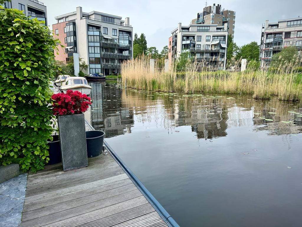 Afbeelding 19 van 56