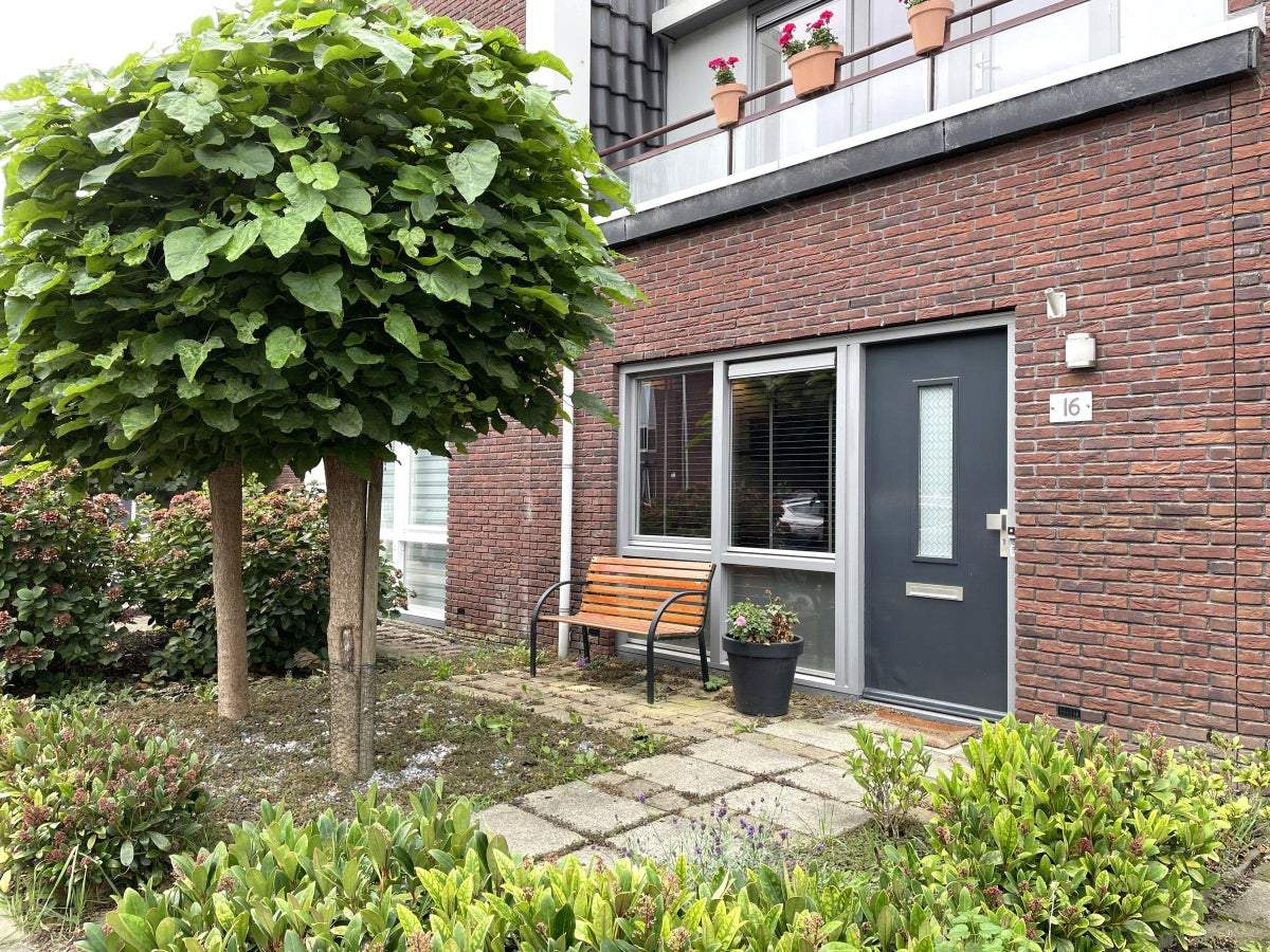 Afbeelding 2 van 36