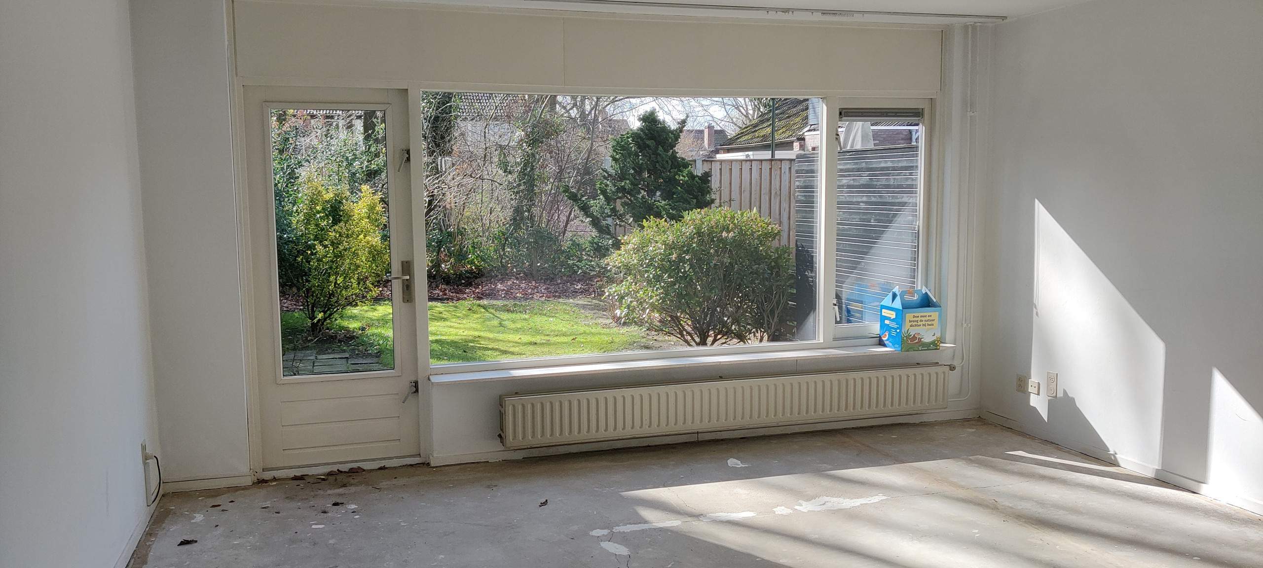 Afbeelding 3 van 12