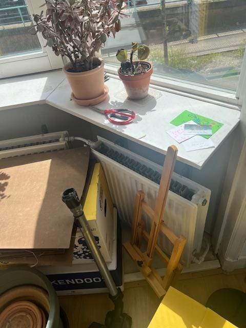 Image 2 of 20