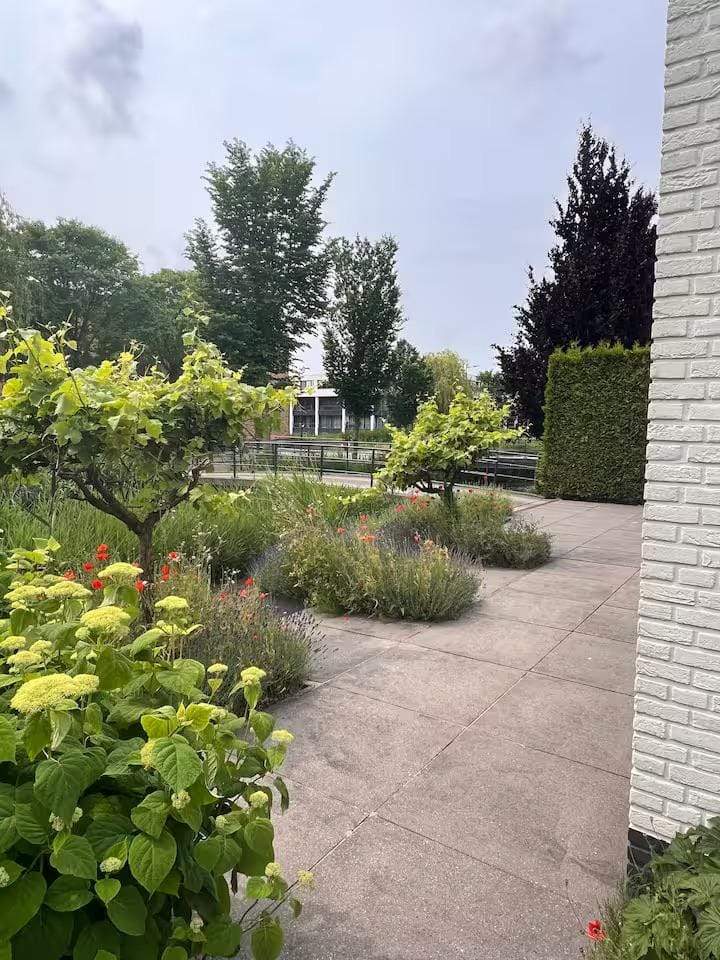 Image 13 of 16