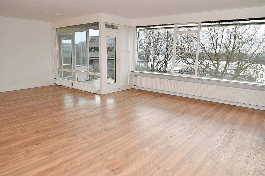 Bild 2 von 12
