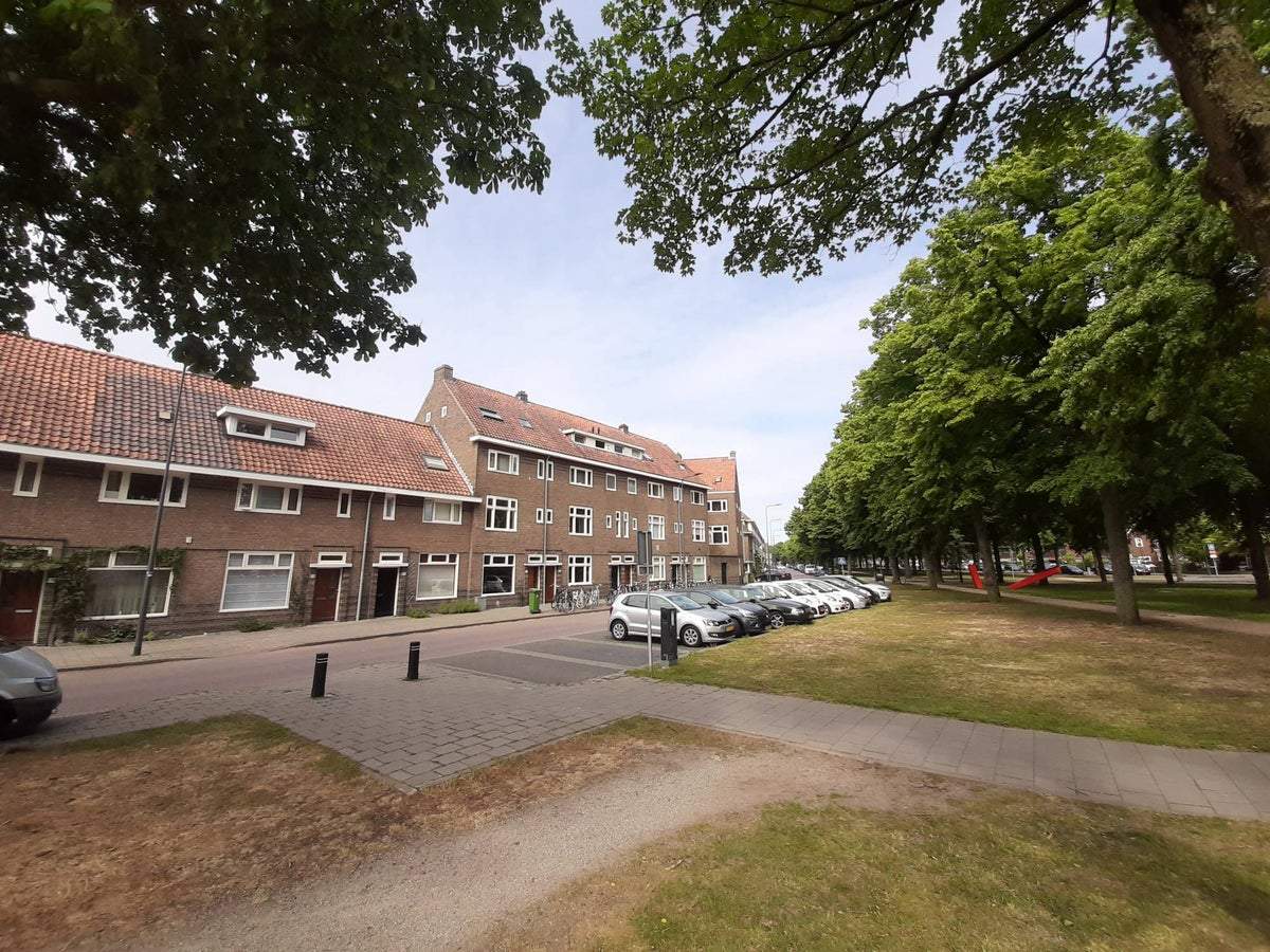 Bild 2 von 14