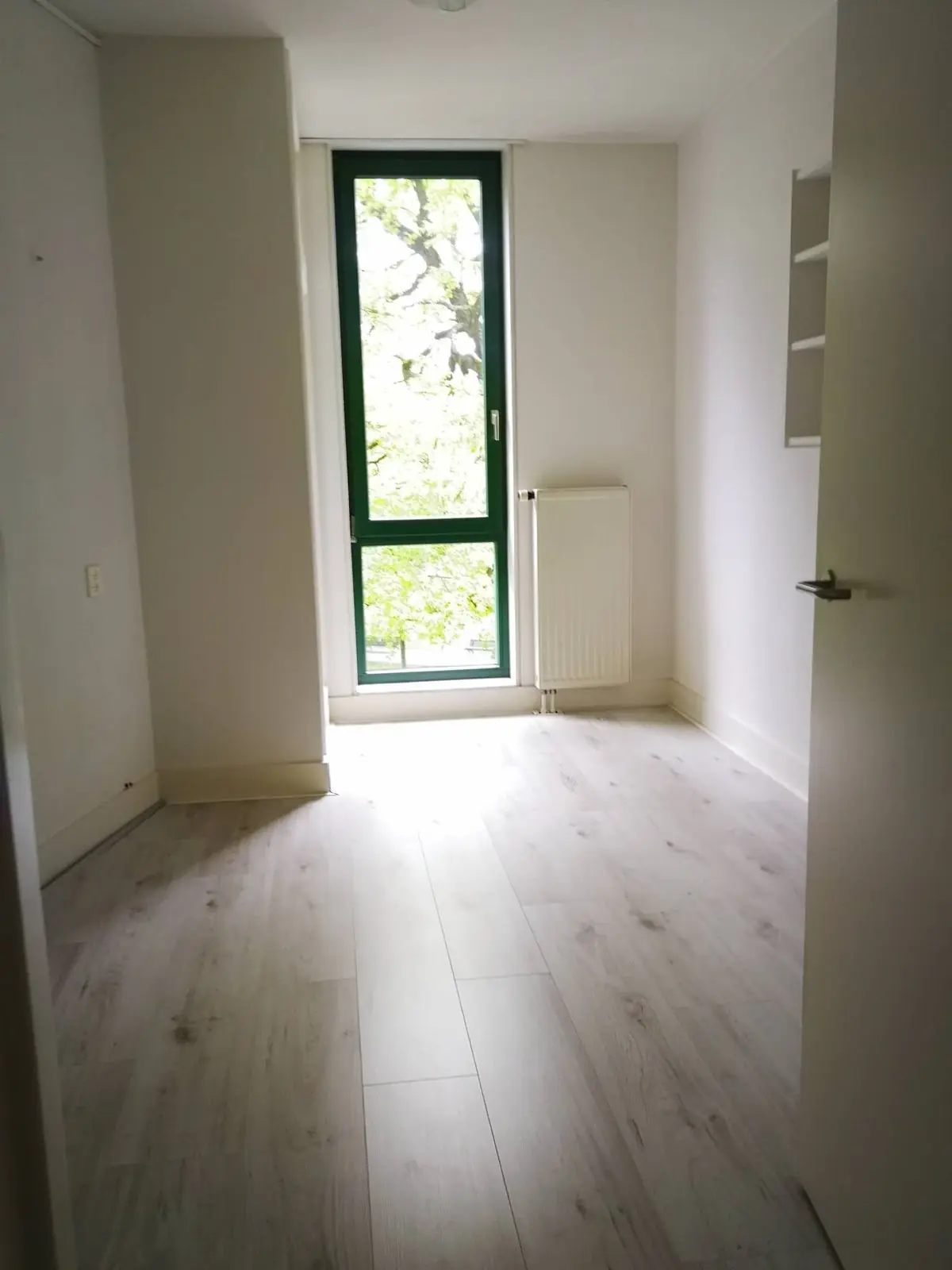 Image 10 of 19