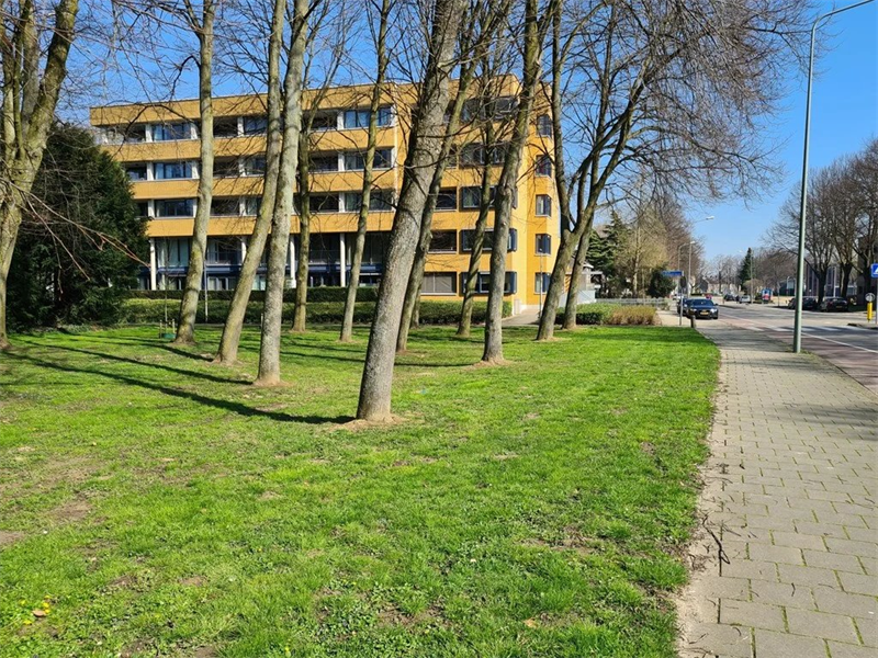 Image 10 of 18