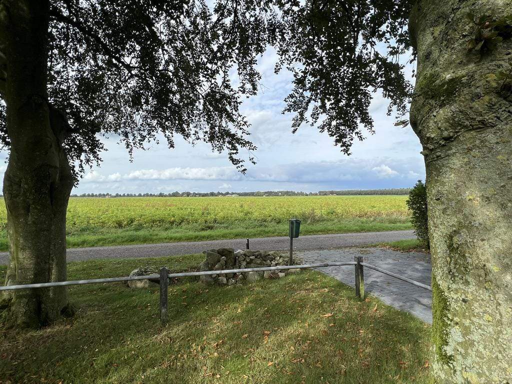 Bild 3 von 17