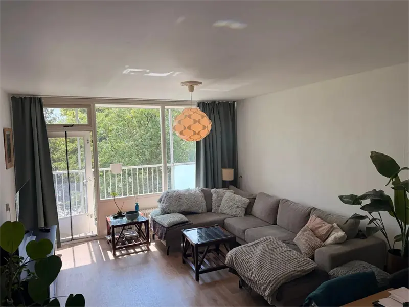 Image 10 of 12