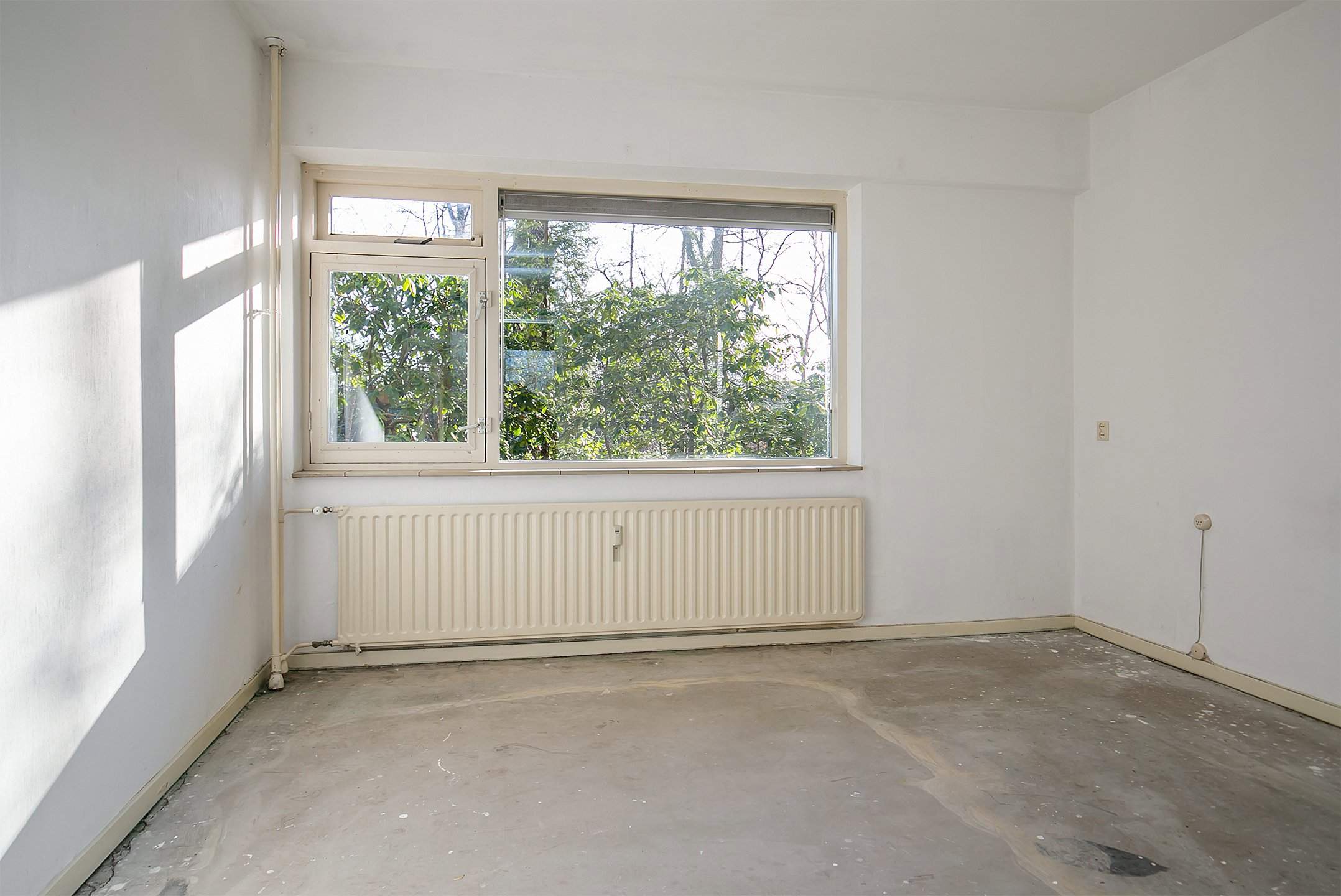 Afbeelding 8 van 25
