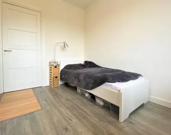 Bild 3 von 8