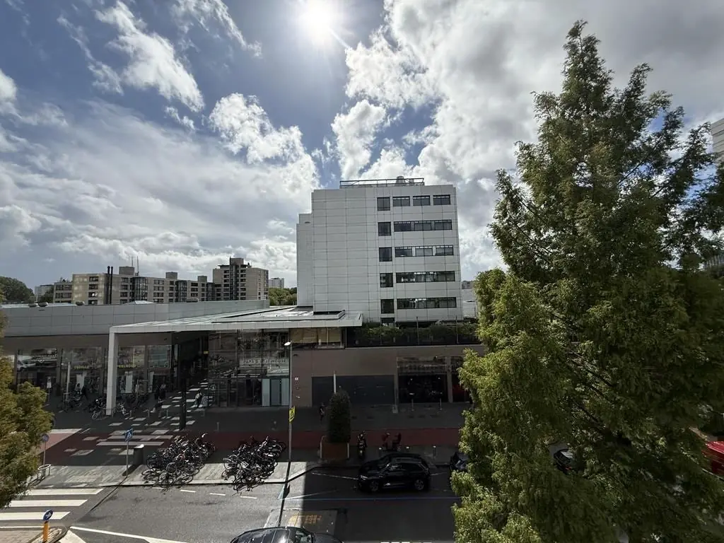 Image 12 of 15