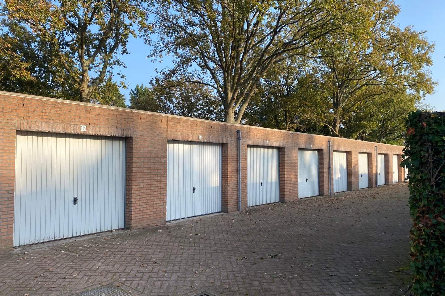 Afbeelding 1 van 6