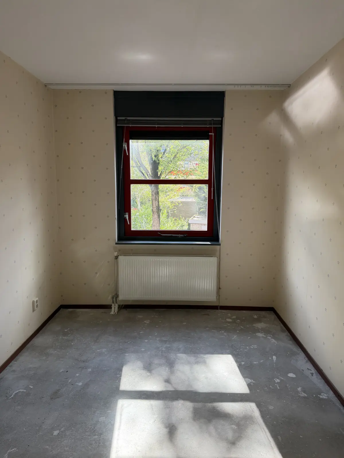Image 16 of 31
