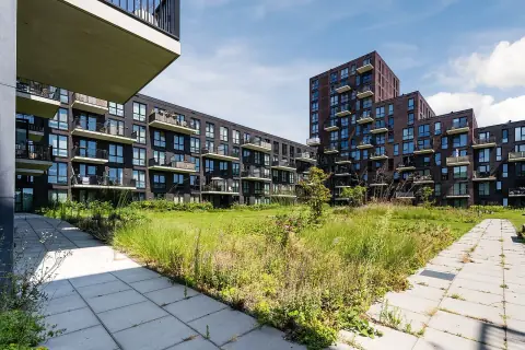 Apartment Theodora Eigemanpad 28, Delft - For Rent