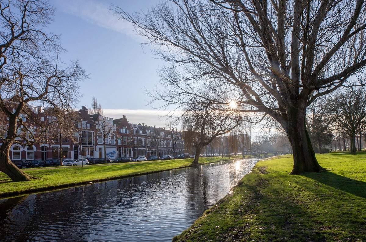 Afbeelding 3 van 17