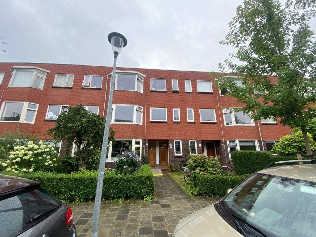 Afbeelding 1 van 9