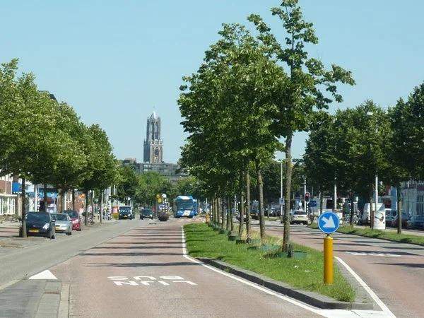 Image 4 sur 6