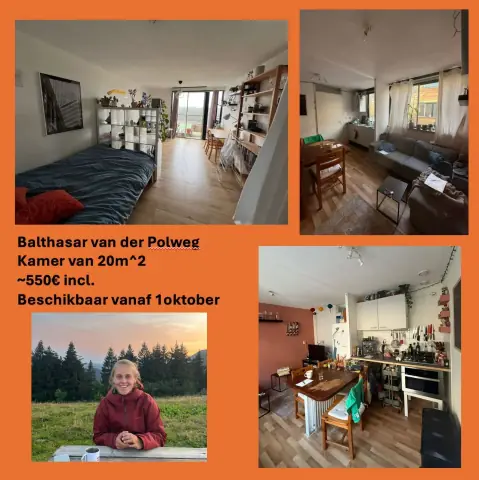 Chambre Balthasar van der Polweg 522-A, Delft - À louer
