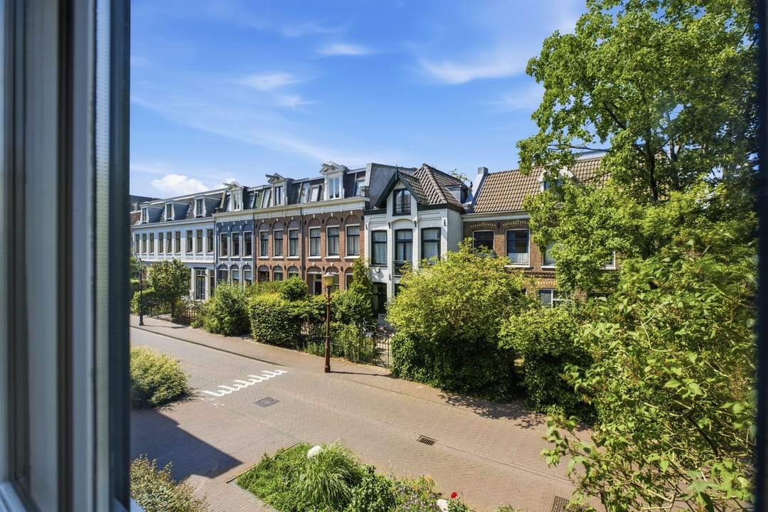 Afbeelding 31 van 46