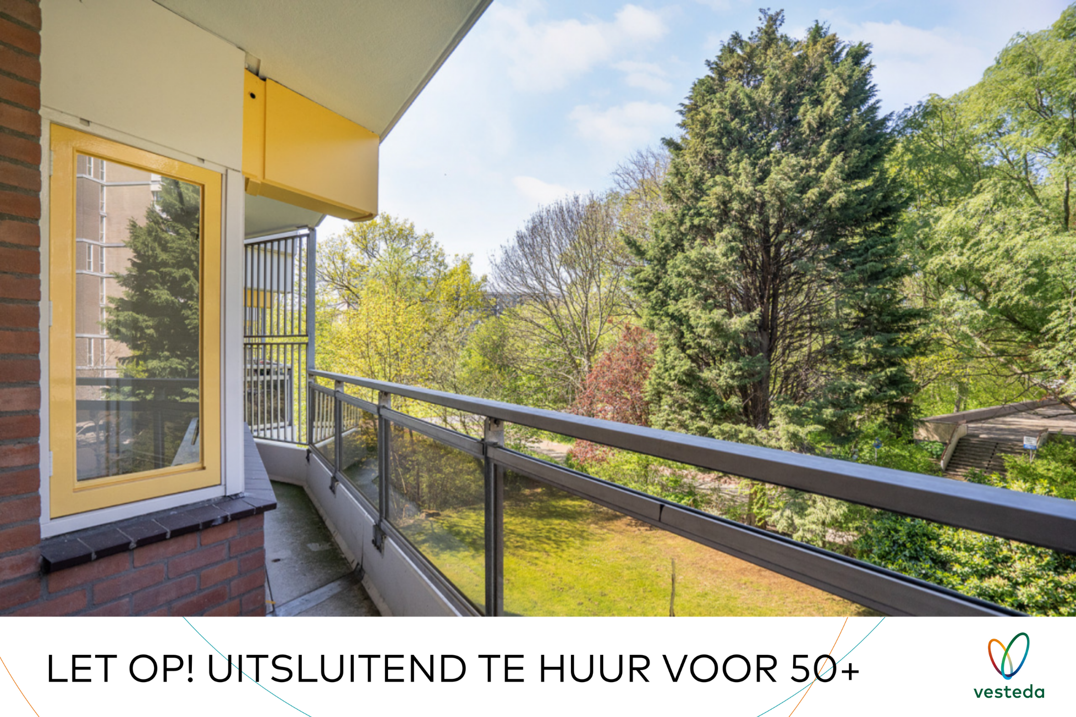 Afbeelding 2 van 15