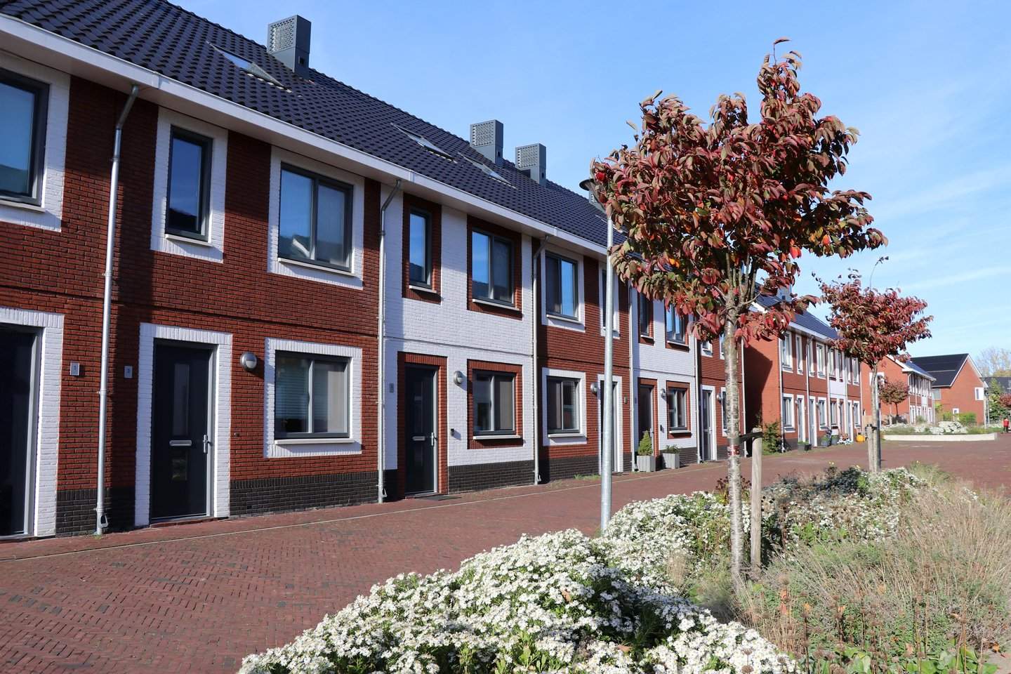 Afbeelding 1 van 5