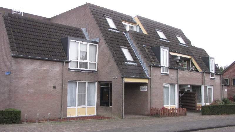 Afbeelding 1 van 8