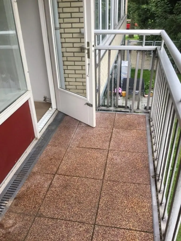 Image 10 of 20