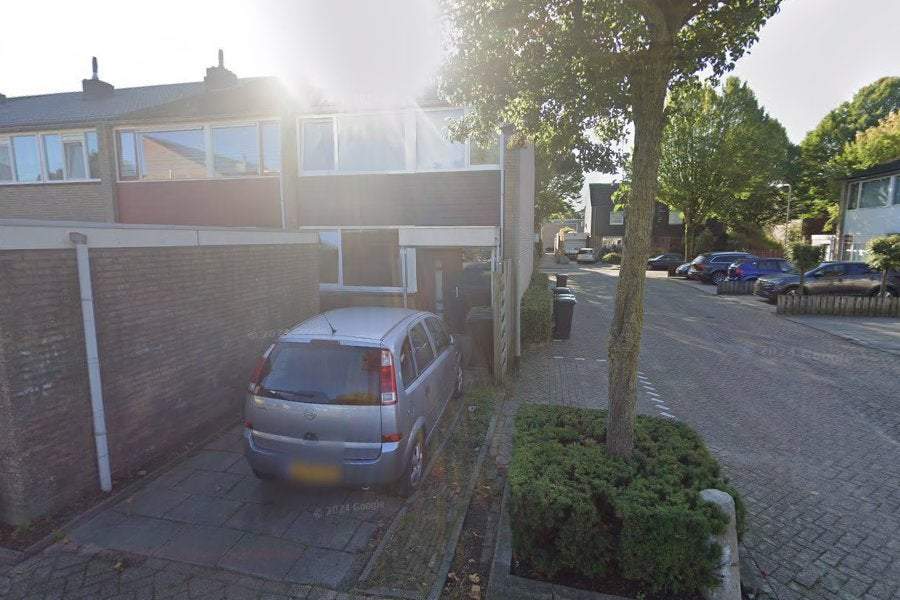 Afbeelding 1 van 1