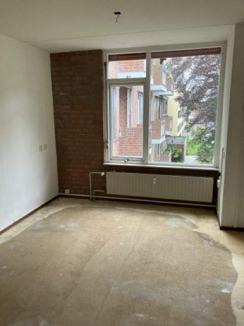 Image 7 sur 12