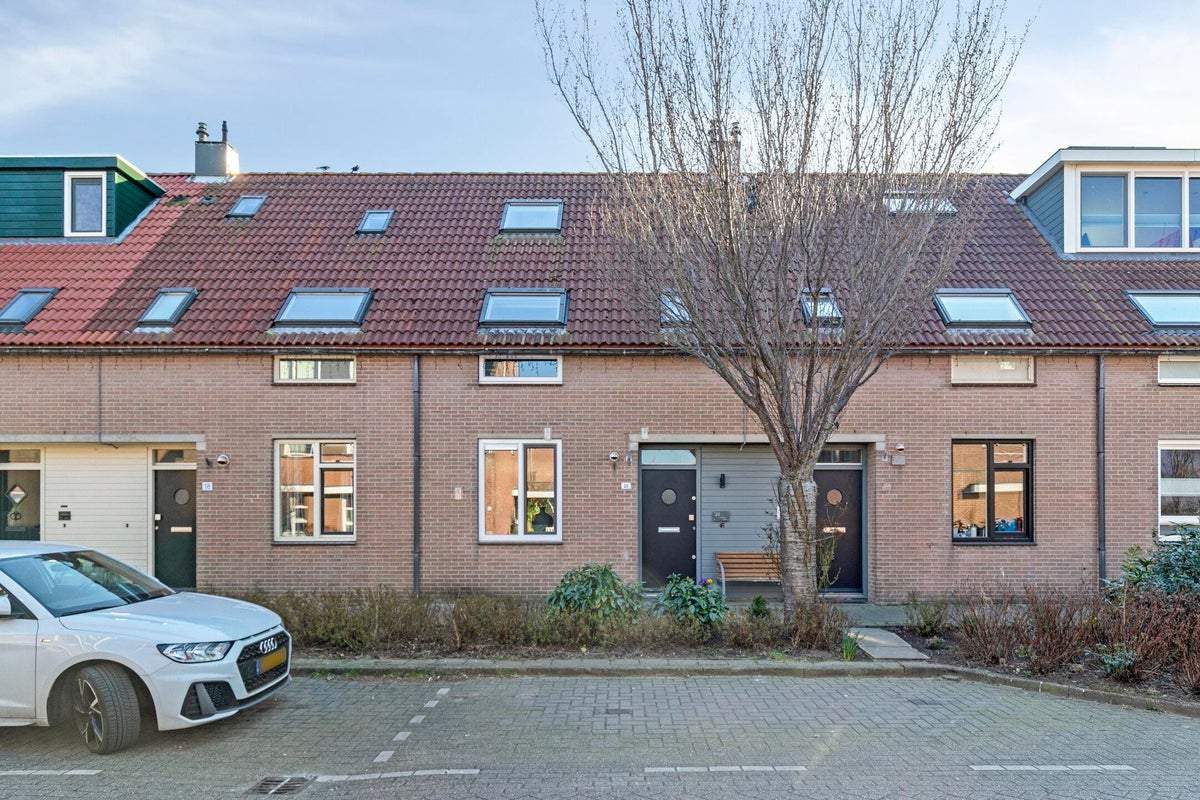 Afbeelding 1 van 40