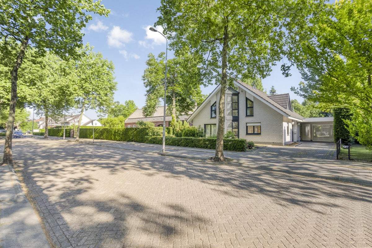 Afbeelding 1 van 65