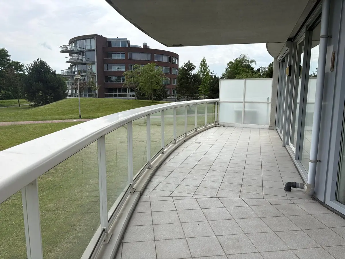 Image 19 of 21