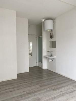 Afbeelding 1 van 20