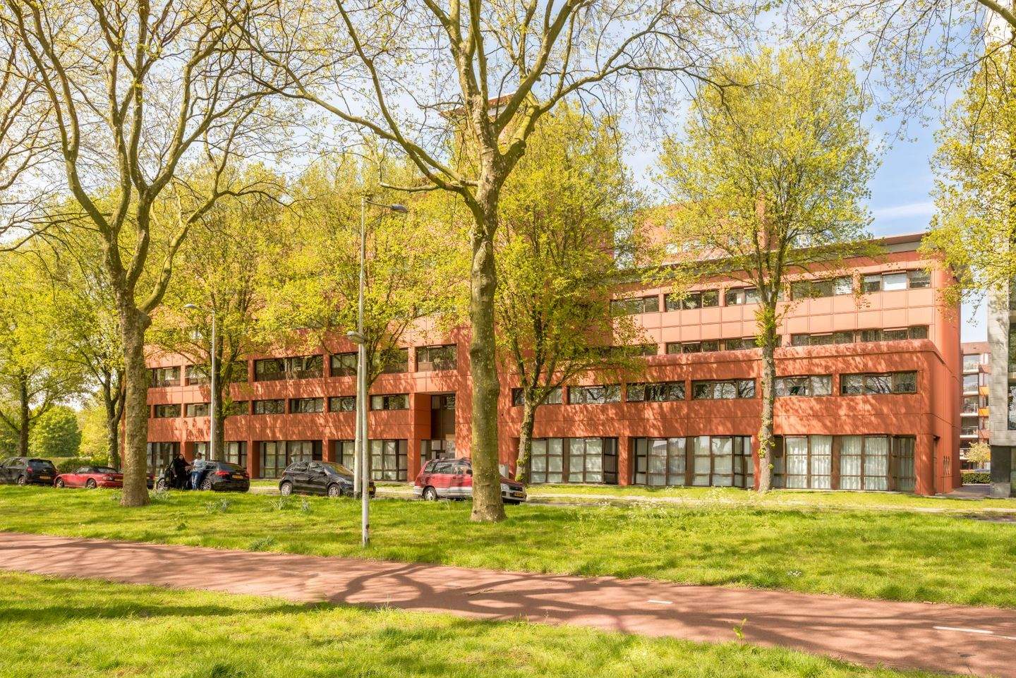 Afbeelding 2 van 7
