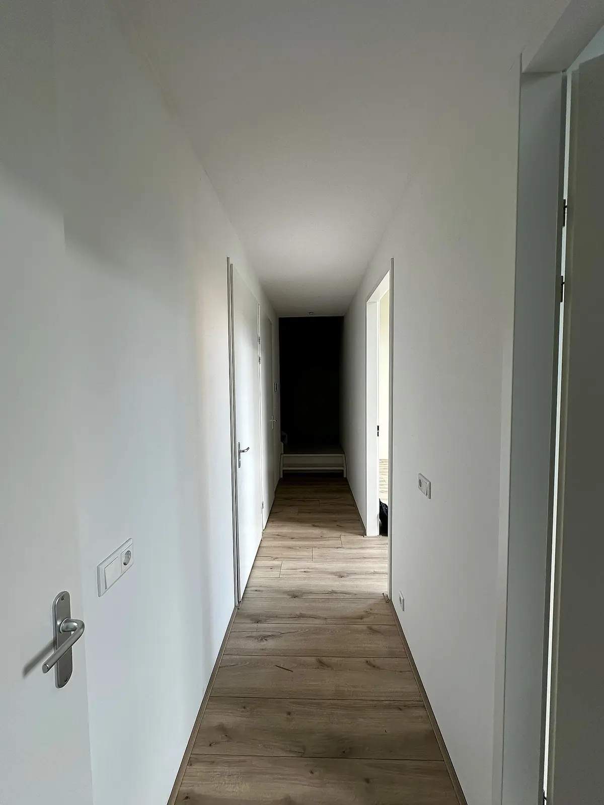 Image 3 of 8