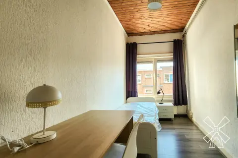 Gemeubileerde kamer Lyonnetstraat, Den Haag - Te Huur
