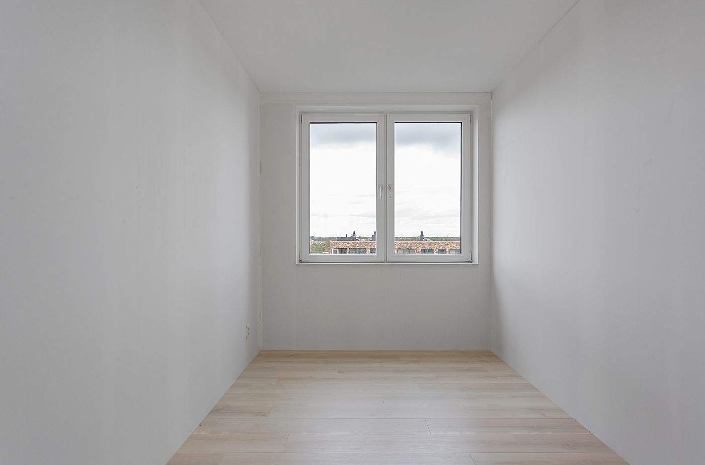 Image 5 of 8