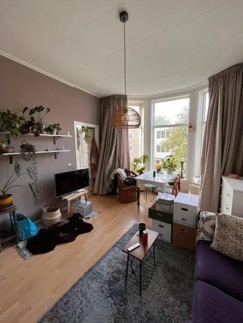Image 2 of 8