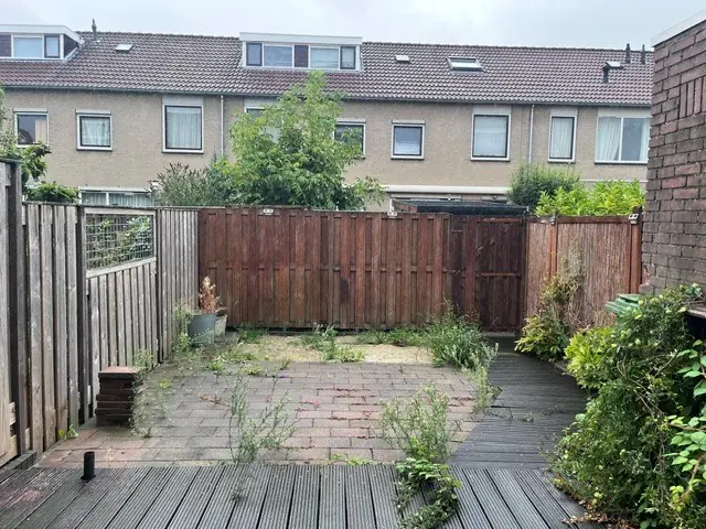 Bild 8 von 25