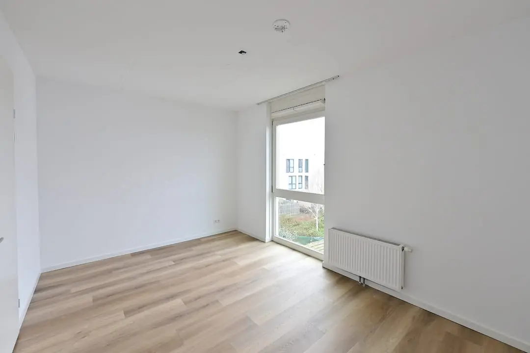 Image 11 of 16